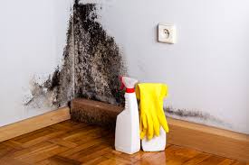 Best Residential Mold Inspection & Testing in Paynesville, MN